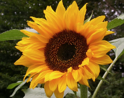 Eindruck vom Schmeddershof