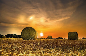 Eindruck vom Schmeddershof